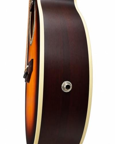 Semi Acoustic Guitar