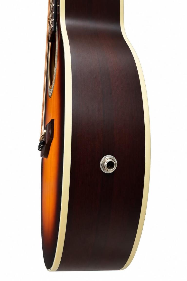 Semi Acoustic Guitar
