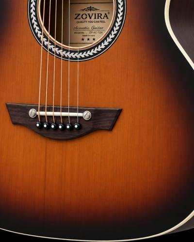 Semi Acoustic Guitar