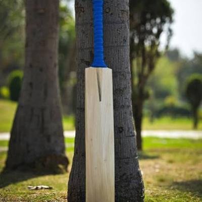 Cricket Bat