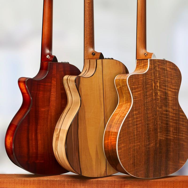 Understanding Guitar Tonewoods: How Wood Shapes Sound